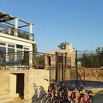 Stone Bosnic Villa